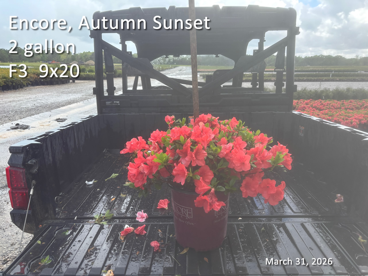 gallery/ess2 f3 mar31.jpg